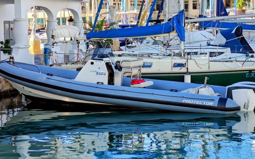 Protector RIB 8.75m